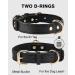 Joytale Leather Dog Collar with QR ID - Durable & Adjustable for Medium Dogs (30-39cm) - Soft Real Leather - Stylish Black - Buy Online on GoSupps.com