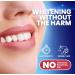 Natural Teeth Whitener Kit - Enamel Safe Whitening Strips for Men & Women - Mint Flavor 28 Strips - Buy Online on GoSupps.com