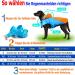Shop DQGHQME Rain Jacket for Dogs - Waterproof Adjustable Reflective Dog Coat for All Sizes - Ultra-Light Blue & Orange - Buy Online on GoSupps.com
