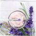 DOITOOL 12 Pcs Eye Shadow Brush Makeup Brush Sponge Eyeshadow Applicator Make-up Eyeshadow Brush Make up - Buy Online on GoSupps.com