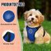 Slowton Dog Harness for Small & Medium Dogs | No Pull Safety & Soft Padded Breathable Blue Harness - Buy Online on GoSupps.com