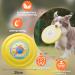 Laroo Dog Frisbee - 24.5cm Flight Disc Toy for Large Dogs | Soft Bite-Proof & Durable - Perfect for Outdoor Training - Buy Online on GoSupps.com
