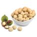 Sunfood Raw Organic Macadamia Nuts - 8 oz (227 g) | Healthy Snack & Cooking Ingredient - Buy Online on GoSupps.com