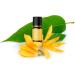 Aakriti Premium Ylang Ylang Essential Oil - 100% Pure & Natural GMP Certified 10ml for Spa Aromatherapy & Diffusion - Perfect for Oil Burner - Buy Online on GoSupps.com