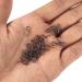 100 Pack No-Knot Fast Snaps | Quick Change Fly Fishing Snap for Flies, Hooks & Lures | Black Color | Small Size - Buy Online on GoSupps.com