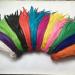 Shekyeon 16-18 Rooster Coque Tail Feather Pack of 20 - Dark Green Costume Decoration - Buy Online on GoSupps.com