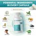 Soursop Graviola Capsules 11 in 1 with Moringa Black Seed Turmeric Extract Soursop Leaf & Fruit Supplement for Immune System Antioxidant Gut Health Support High Absorption 90 Capsules natural - Buy Online on GoSupps.com