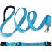 Tagme Personalized Reflective Dog Collar & 1.5m Leash for Large Dogs - Sky Blue (1-Pack) | Durable & Stylish - Buy Online on GoSupps.com