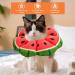 Avont Rewrise Cat Adjustable Soft Neck Collar | Leak Protection Collar for Small Dogs Post-Operation | Watermelon Design - Large - Buy Online on GoSupps.com