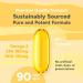 Sunrise Apothecary - FISH OIL Daily Supplement Rich in Omega 3 Fatty Acids Total Wellness Support for Men and Women 1000 mg per Soft Gel Capsule 90 Omega 3 Fish Oil Capsules per Bottle - Buy Online on GoSupps.com