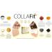 Collafit Food Supplement | The Natural Path to Beauty | Improved Skin Hydration and Elasticity | Patented Marine Collagen Peptides (Type I) | 28 Bags - Buy Online on GoSupps.com