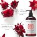 Organic Anti-Thinning Conditioner | Strengthen & Rejuvenate Hair | Ayurvedic Herbs for Hair Loss Prevention & Growth | Lavender Ginger Rosemary - Buy Online on GoSupps.com