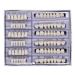 168 Pcs Dental Synthetic Resin Tooth Denture 6 Sets False Teeth 22 A2 Upper Lower Shade Dental for Halloween Horror Teeth (22 A2)