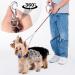 Tiesomes Double Dog Leash - 360 Rotatable Metal Leash for Dog Training | Healing-Free & Kausicher Splinters | Shop Now! - Buy Online on GoSupps.com