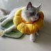 KUDES Sunflower Small Dog Recovery Collar - Adjustable E-Collar for Wound Healing - Elizabethan Collar for Small Pets - Cute Design - Size Small (up to 4lb) - Buy Online on GoSupps.com