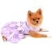 Luxury Summer Pet Dress for Small Dogs & Cats - Paidful Rose Flower Lace Tutu Wedding Dress - Purple Birthday Outfit for Chihuahua - Size M - Buy Online on GoSupps.com