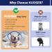 Kuoser Adjustable Dog Collar Comfort Cone - Leak Protection Breathable Recovery Wear for Dogs & Cats - XL Blue - Buy Online on GoSupps.com