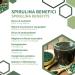 Erbotech Organic Spirulina Powder 200g - High Protein Calcium & Vitamins | Vegan Superfood Made in Italy - Buy Online on GoSupps.com