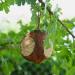 Lyra PET Coconut Bird Feed Balls | 3 x 4 Whole Coconuts | Nutritious Fat-Rich Wild Bird Food | Year-Round Feeding | Ideal for Meisenkn del - Buy Online on GoSupps.com