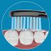 L chen Replacement Brush Head for All L chen Electric Toothbrushes - S121 Black 4 Pieces - Optimal Cleaning & Performance - Buy Online on GoSupps.com