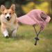 Predolo Pet Sports Hat - Fashionable Pink Dog Sun Hat with Ear Holes Sun Protection Cap for Small Dogs - XL Baseball Cap - Buy Online on GoSupps.com