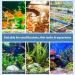 Flintronic Nano Aquarium Air Stone - Ultra-Quiet Sparkling Oxygen Stone for Ponds & Aquariums (50mm) - Super Tiny Bubbles for Optimal Dissolved Oxygen - Buy Online on GoSupps.com