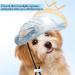 Shop Fashionable Dog Baseball Cap | Sun Protection for Small Dogs & Cats | Adjustable Pet Hat with Ear Holes (S-Blue) - Buy Online on GoSupps.com