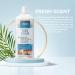 FABER Professional Floor Cleaner: Concentrated Neutral Detergent Daily USE NO RESIDUES 1ltr - Buy Online on GoSupps.com