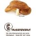 Shiitake Bio Powder 500g - Premium Quality from Slovenia | Sustainable EU Production | German Brand - High Safety Standards - Buy Online on GoSupps.com