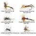 Best Range of Carp & Trout Fishing Flies - 24 Dry & Wet Fly Combinations with Silicone Box for Salmon & Saltwater Fishing - Buy Online on GoSupps.com