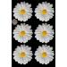 6 x edible 3D Extra Large 7cm Daisies Flowers icing toppers cake cupcakes decorations (White) - Buy Online on GoSupps.com