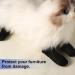 4pcs Anti Scratch Cat Mittens Adjustable Mesh Cat Foot Covers Breathable Cats Paw Covers Cat Nail Gloves Cat Paw Protector Cat Booties for Pet Bathing Cutting Nails Checking (XL Black) - Buy Online on GoSupps.com