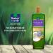 Parachute Advansed Rosemary-enriched Coconut Hair Oil| Rosemary Hair Oil| Superfoods Magic| Long & Thick Hair|300 Ml - Buy Online on GoSupps.com