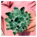 Crystal Cluster Pretty Green Crystal Cluster Rough Splicing Specimen ningxiao (Size : 1800-2000g)