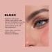Air Cushion Contour Blush Highlighting Stick - Liquid Blush Highlighter Makeup Stick with Applicator Blush Highlight Finish (04#HIGHLIGHT 0.41 FL.OZ / 12ML) 04#highlight 12 ml (Pack of 1) - Buy Online on GoSupps.com
