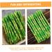 HOMSFOU 50 Pcs Simulated Asparagus Ornaments Fake Vegetables Asparagus Decor Fake Plastic Lifelike Vegetables Faux Asparagus Fern Plastic Vegetables Model Fake Food Model Sample Pvc Plant Light Greenx5pcs 19X0.9CMx5pcs - Buy Online on GoSupps.com