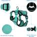 PetBonus Adjustable Cat Harness & Lead Set - Escape Proof Kitten Vest - Breathable & Reflective - Turquoise (Small) - Buy Online on GoSupps.com