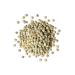 Organic Whole Green Lentils 10 lbs - Non-GMO Raw Beans, Vegan & Kosher - High in Folate, Fiber & Protein - No Soaking Required - Ideal for Soups & Veggie Burgers - Buy Online on GoSupps.com