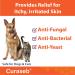 Curaseb Chlorhexidine XL Wipes for Dogs & Cats | Veterinary Strength | Relieves Skin Infections, Hot Spots & Allergies | 60 XL Wipes - Buy Online on GoSupps.com