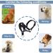 ILEPARK Adjustable Dog Halter with Padded Fabric - No Pull Halter Collar for Dogs (M Black) - International Shipping Available - Buy Online on GoSupps.com