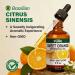Coffee Essential Oil for Diffuse & Orange Essential Oil for Diffuser Set - Aromatherapy Grade Essential Oils Set - 2X 4 Fl Oz - Kukka - Buy Online on GoSupps.com