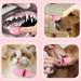 Soft Chin Brush for Pet | Grooming Chin Scrubber Soft Chin Brush | Non-Slip Cleaning Brush Finger Multifunctional Pet Supplies for Cats Pink - Buy Online on GoSupps.com
