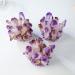 Natural Amethyst Crystal Geode Amethyst Cluster Point Druzy Specimen Amethyst Raw Rock Crystal Stone Collection Decor Gift 700-800g QINTINYIN Full of Texture - Buy Online on GoSupps.com