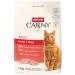 Animonda carny cat food adult - dry food cat sugar -free and without grain - with chicken + cattle 1 x 10 kg chicken + beef 10 kg (1 Pack)