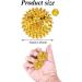 Acupressure Ball Set - 32mm Magnetic Hedgehog Massage Balls for Stress Relief & Foot Massage (Gold) - Buy Online on GoSupps.com