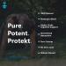 Protekt Clarity Organic Lion's Mane Mushroom Complex Capsules - Focus and Brain Support Formula - 60 Capsules - Buy Online on GoSupps.com