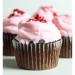 Chocolate Keto Cake Mix - Low Carb, Gluten Free, 1.8g Net Carbs | Keto and Co 9.2 oz - Buy Online on GoSupps.com