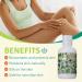 Aloe Life Face & Body Lotion - Hydrating Concentrated Formula with Antioxidants Minerals & Herbal Extracts - Gluten-Free Pleasant Grapefruit Scent - Safe for All Skin Types (4 oz - Buy Online on GoSupps.com