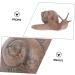 Beaupretty 3 Pcs Escargot Micro Paysage R cipient en Verre pour Mini Sculpture D'Escargot Escargot Jardin Statue Escargot Terrarium D cor en Plastique D coration De Bureau Escargot Mod le 9x4cmx3pcs Caf x3pcs - Buy Online on GoSupps.com