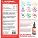 UltimateVitality Liposomal B12 Methylcobalamin Liquid with Folate - Maximum Absorption Formula - 2 Ounces - Buy Online on GoSupps.com